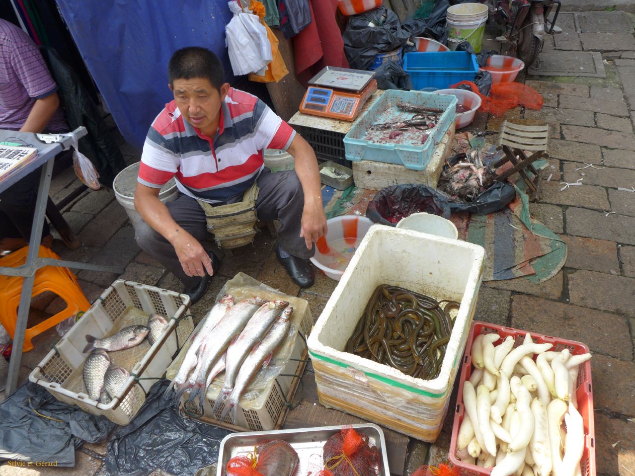 Suzhou 18 le marché