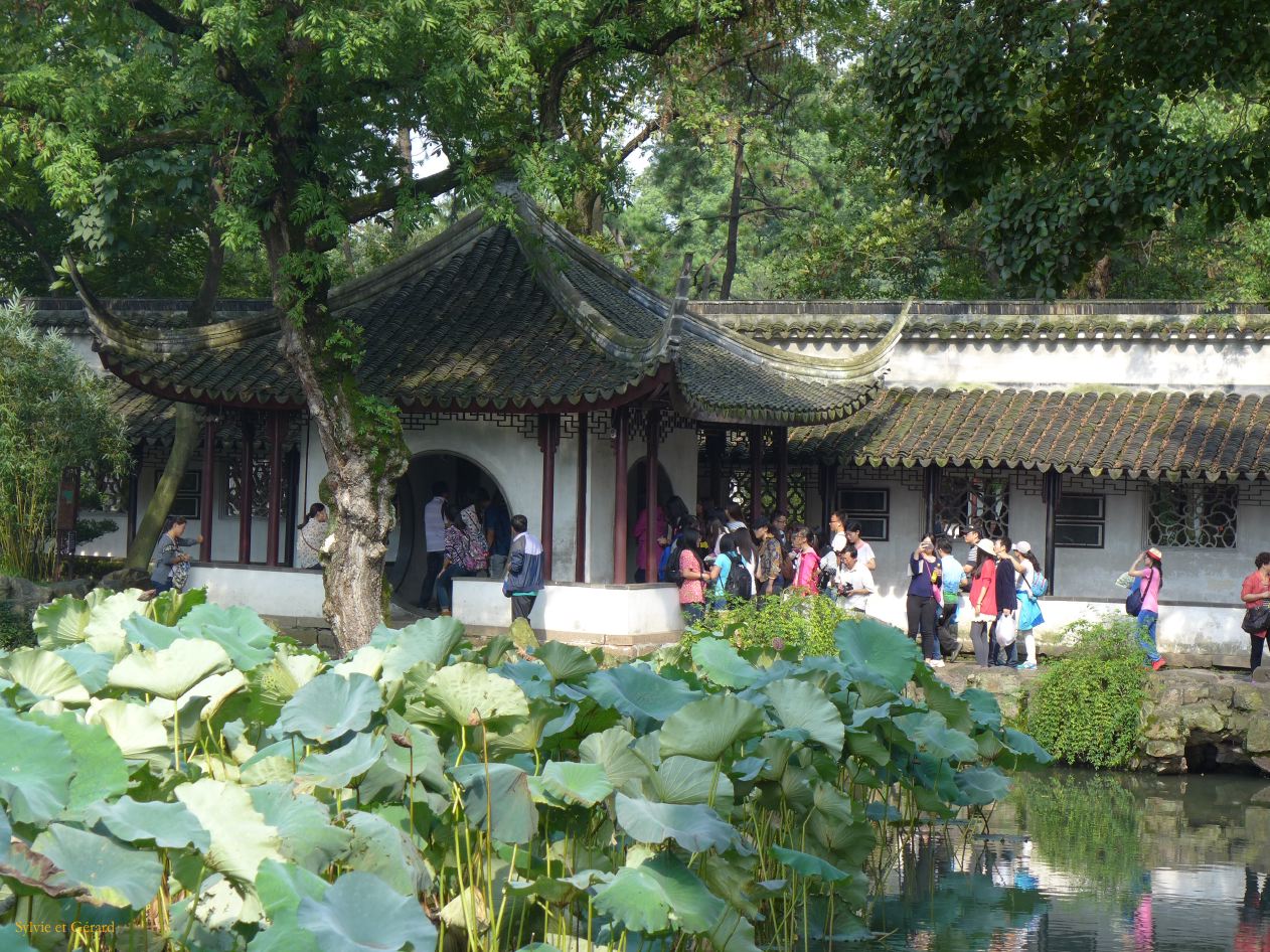 Suzhou 54 Jardin de l'humble administrateur 