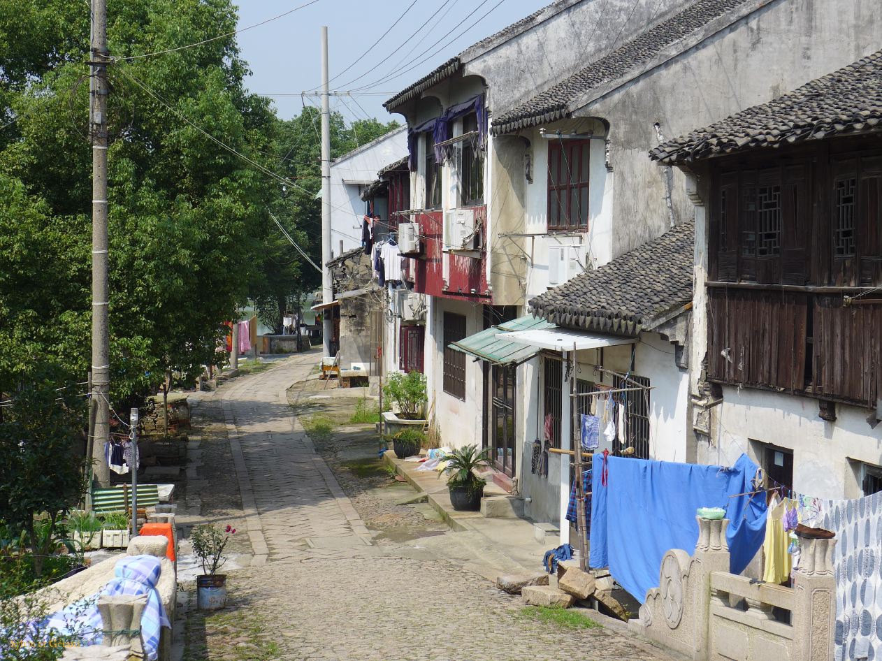 Tongli 08