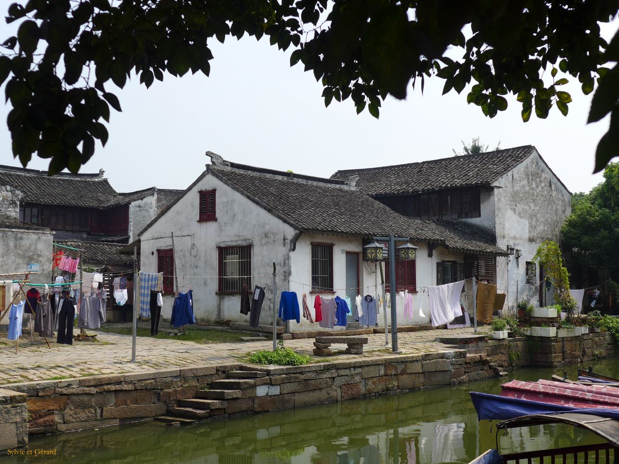 Tongli 15