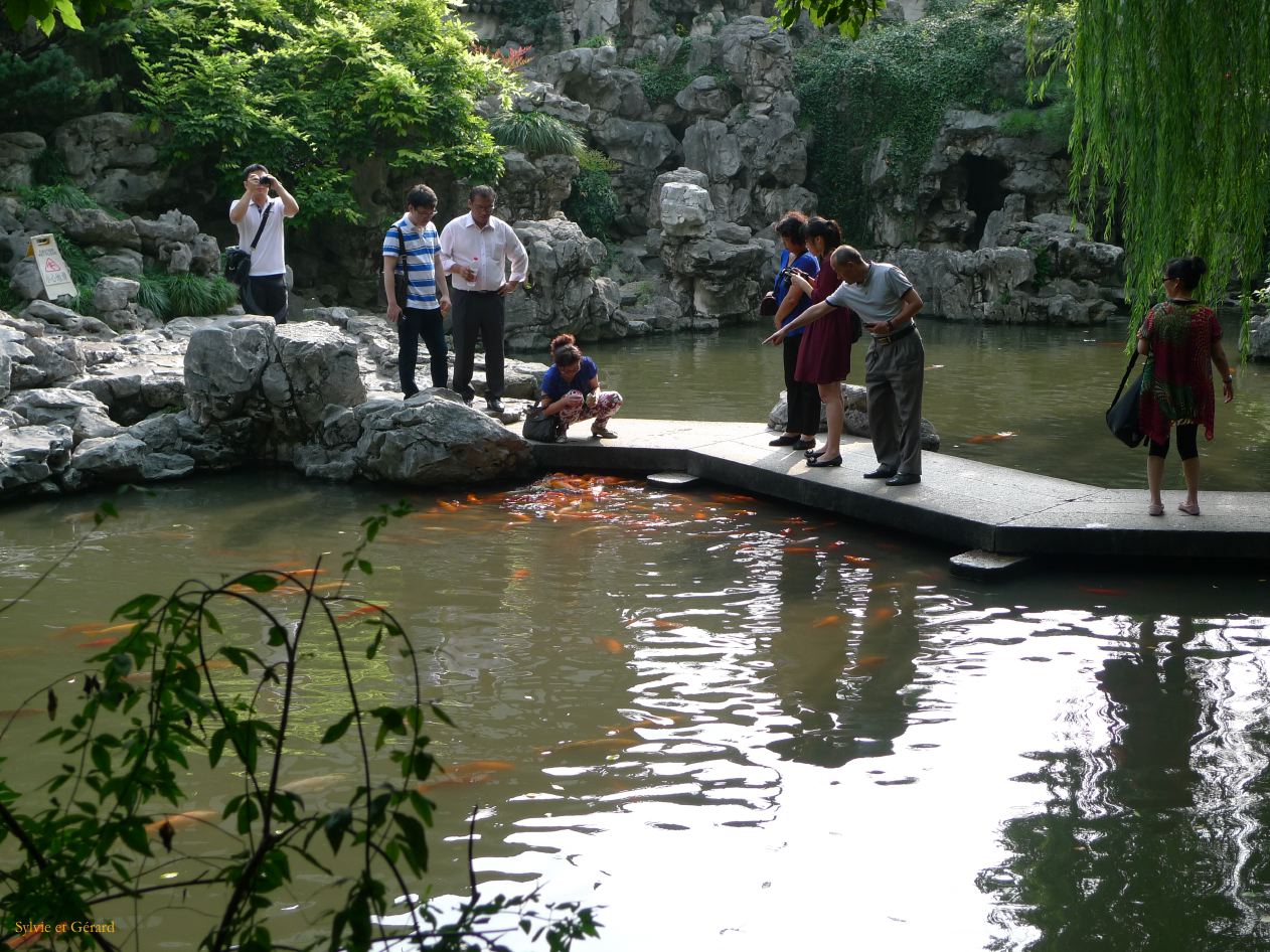 Shanghai 41 jardin Zu 