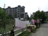 Suzhou 17 le long du canal
