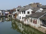 Tongli 04