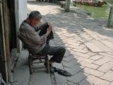 Tongli 09