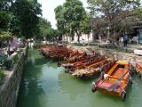 Tongli 11