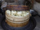 Tongli 14