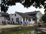 Tongli 15