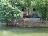 Tongli 17