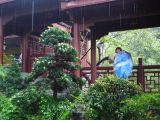 vers Hangzhou 31 parc Felaifeng et temple Lingyinsi 