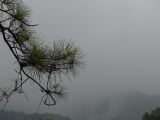vers Hangzhou 33 parc Felaifeng et temple Lingyinsi 