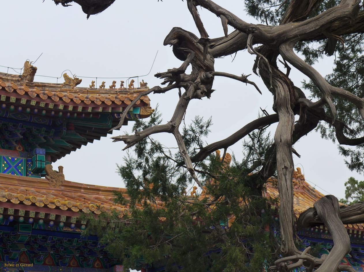 à Pekin Temple de Confucius et Collège Impérial 03