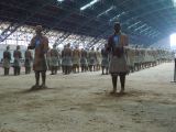 Xian 11 l'Armée Enterrée