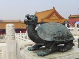 à Pekin Cité Interdite 05 la tortue dragon symbole de longévité et de réussite