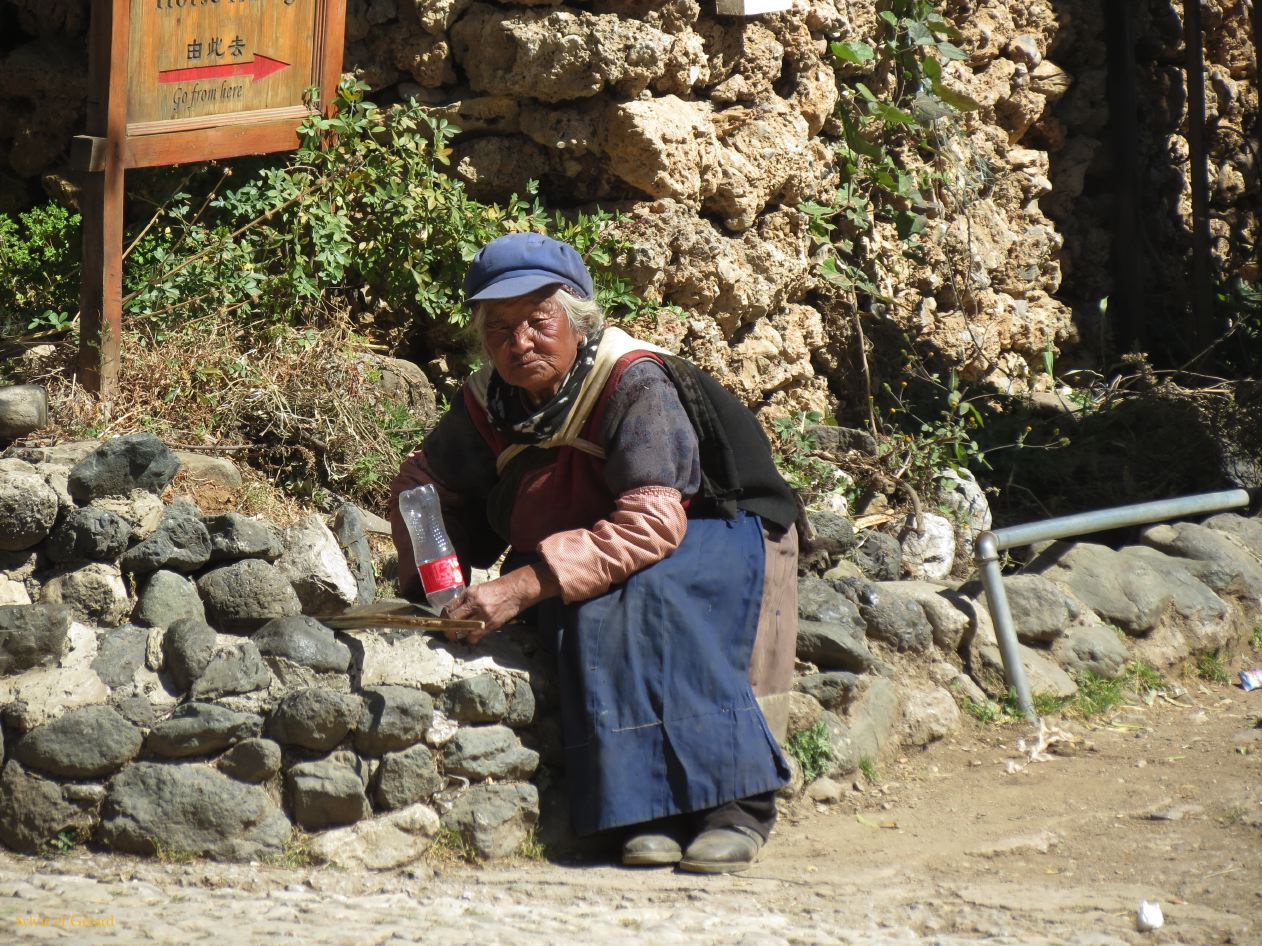 160 Lijiang village Yuhu