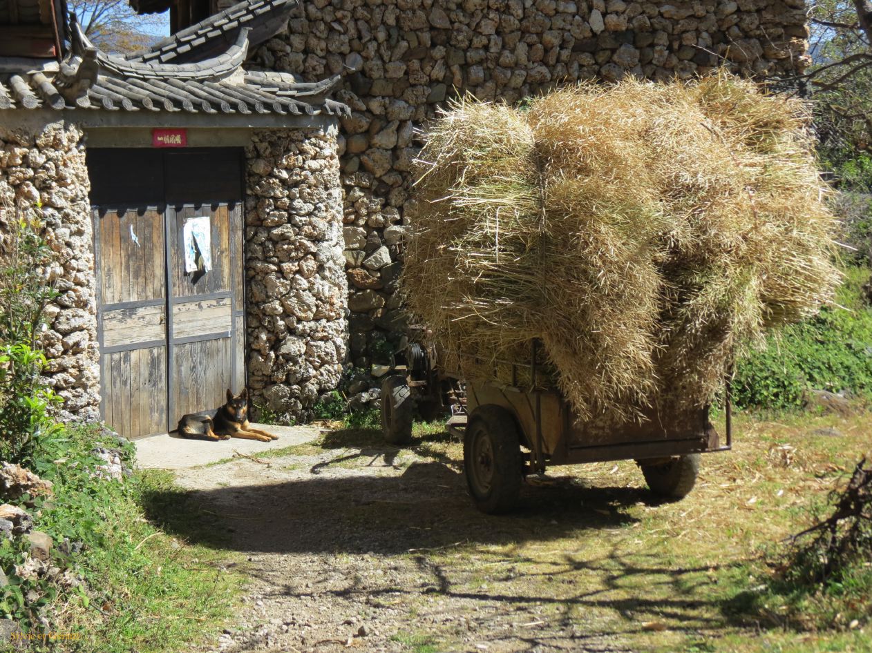162 Lijiang village Yuhu