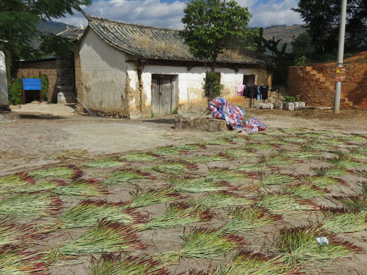 598 Jianshui la résidence de la Famille Zhang bâtie à la fin du 19e siècle par un riche commerçant