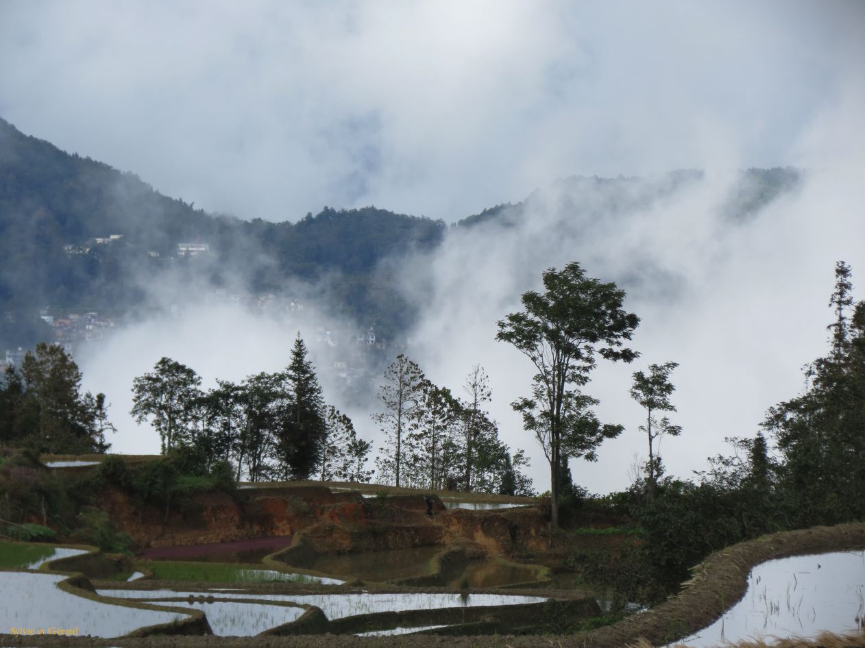 661 Yuanyang rizières des environs