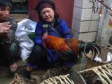 644 Yuanyang jour de marché en ville