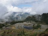 660 Yuanyang rizières des environs 