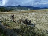 674 Yuanyang rizières des environs