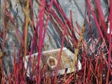 058 Shangri La le temple des poules blanches offrandes