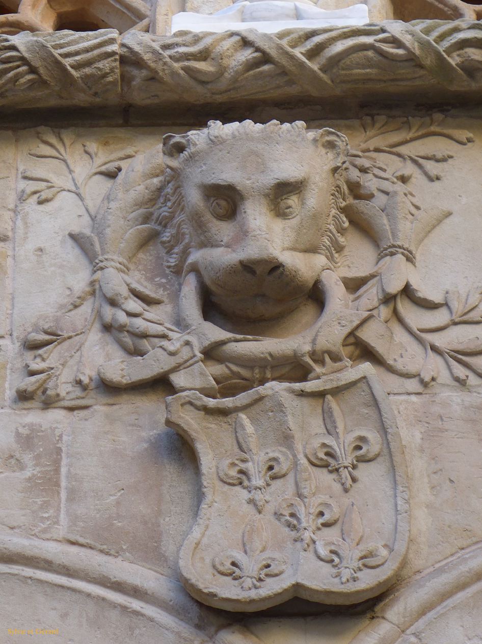 05 Castille et Leon 27 Salamanque Casa de los Conchas P1400913