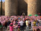 18 Castille et Leon 03 Avila les remparts IMG_5729