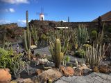 001 Jardin de cactus et son moulin IMG_7256