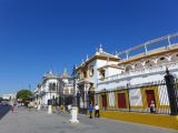 113 Real Maestranza 