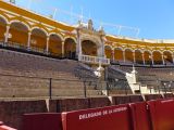 116 Real Maestranza 