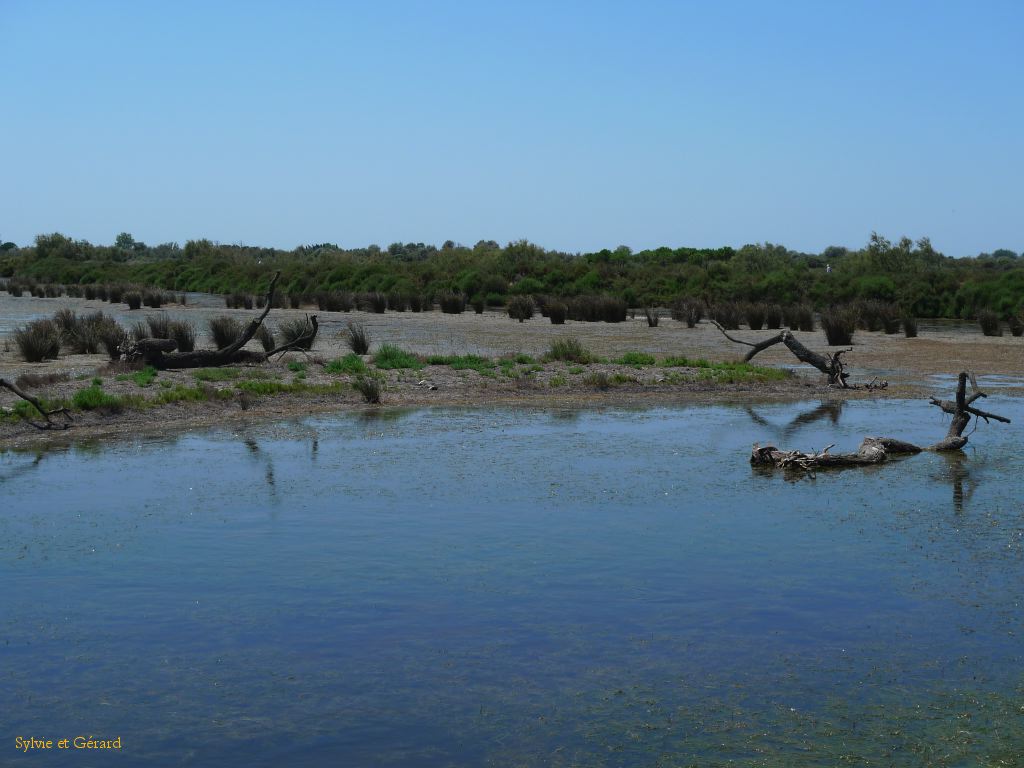 Pont de Gau 01