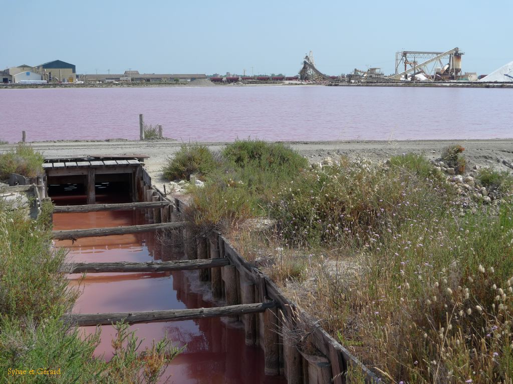 Aigues Mortes les Salins 03