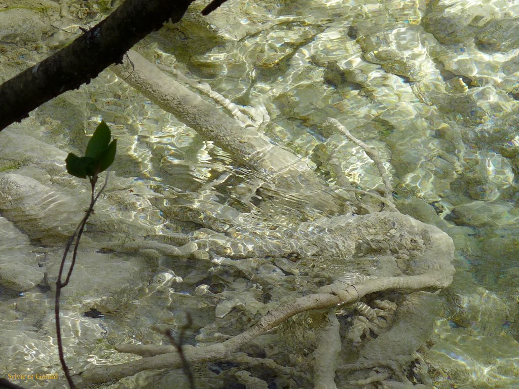 17 Source de l'Huveaune