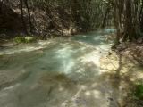 24 Source de l'Huveaune