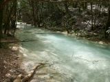 40 Source de l'Huveaune