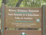 45 source de l'Huveaune