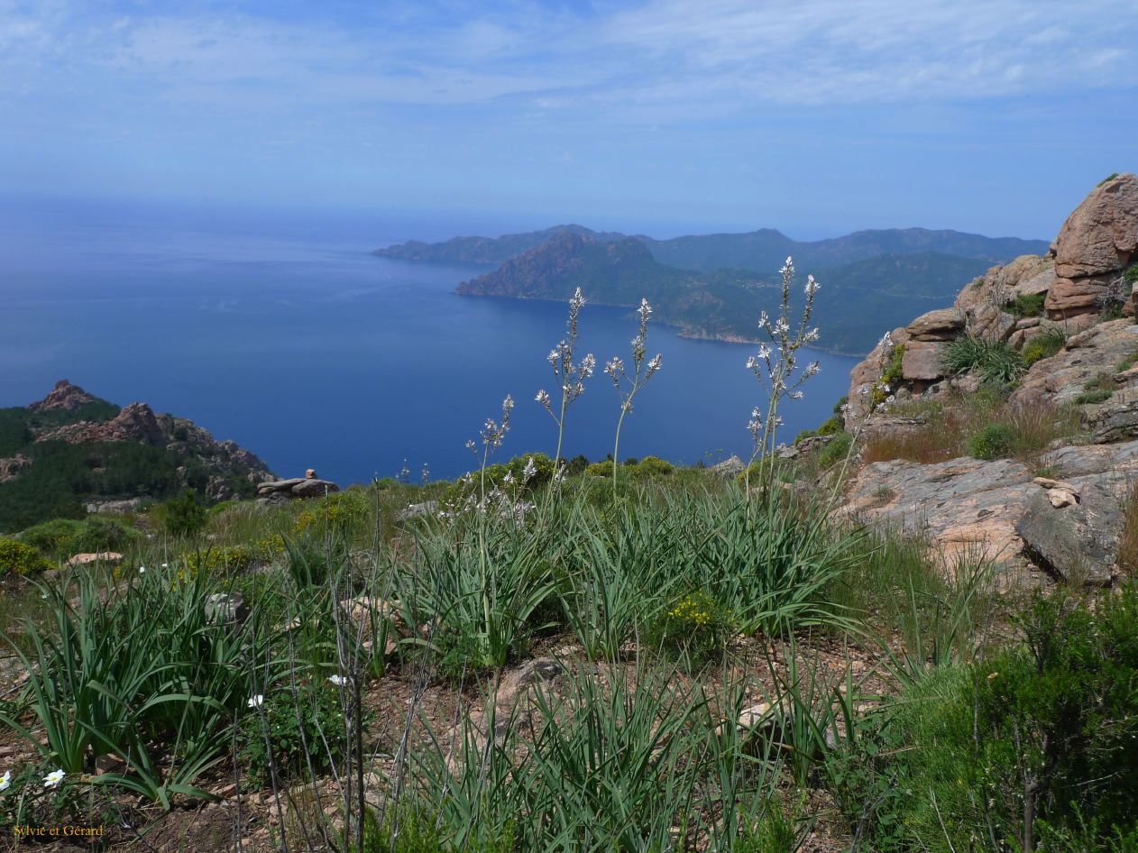 E Autour de Porto les Calanches de Piana  019