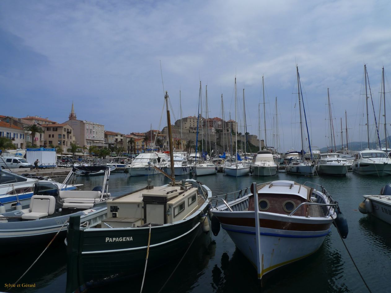 G Calvi  001