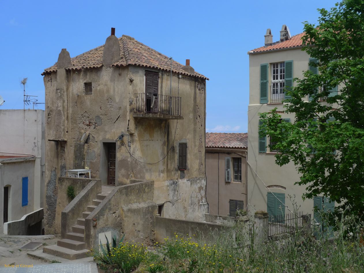 G Calvi  007