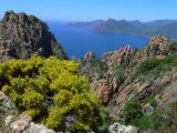 E Autour de Porto les Calanches de Piana  008