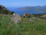 E Autour de Porto les Calanches de Piana  013