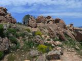 E Autour de Porto les Calanches de Piana  017