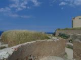 G Calvi  003