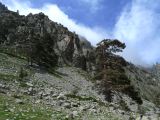 L Autour de Corte Lac Melu Restonica  012