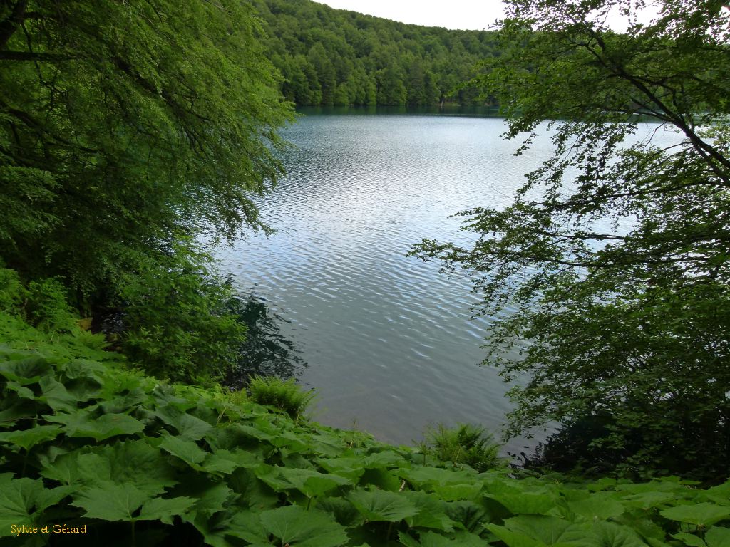 30 Autour du Lac Pavin  012