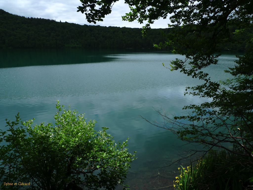 31 Autour du Lac Pavin  019