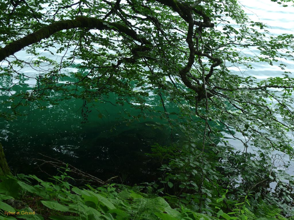 32 Autour du Lac Pavin  021