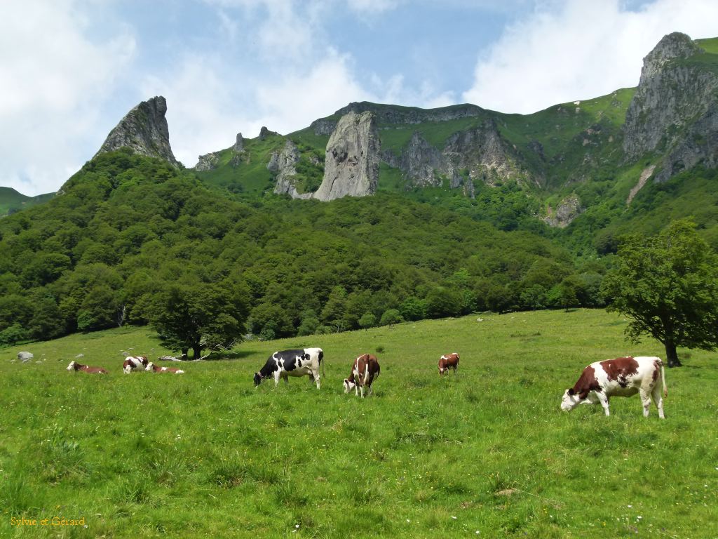 65 Vallée de Chaudefour  124