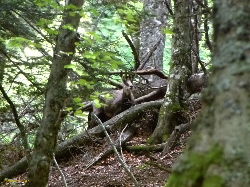 67 Vallée de Chaudefour  159