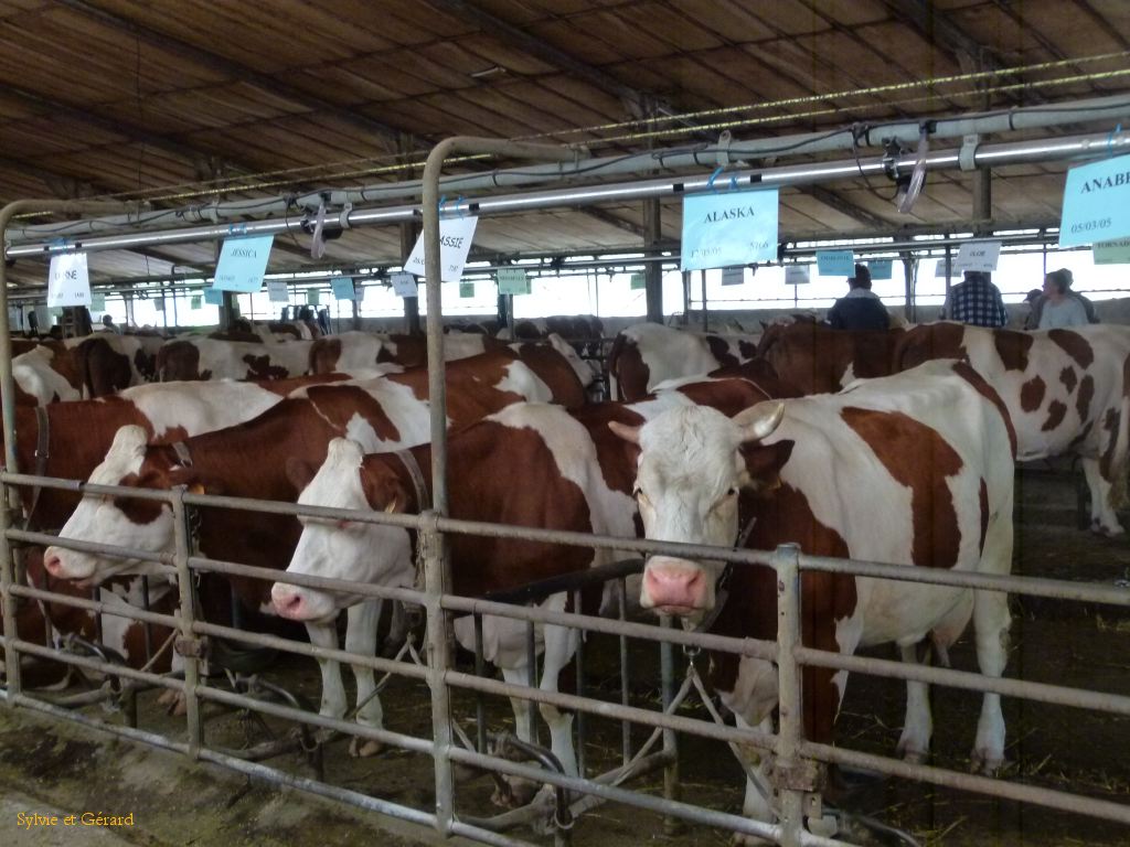 93 St Nectaire la ferme de Farges  003